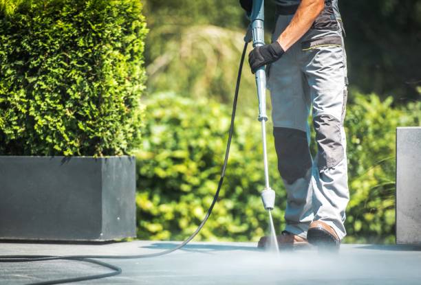Best House Exterior Washing  in Cloverleaf, TX