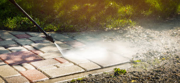 Best Solar Panel Cleaning  in Cloverleaf, TX